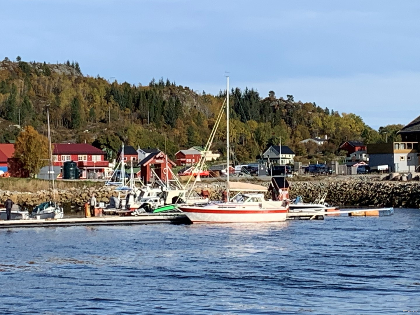 IMG_4463