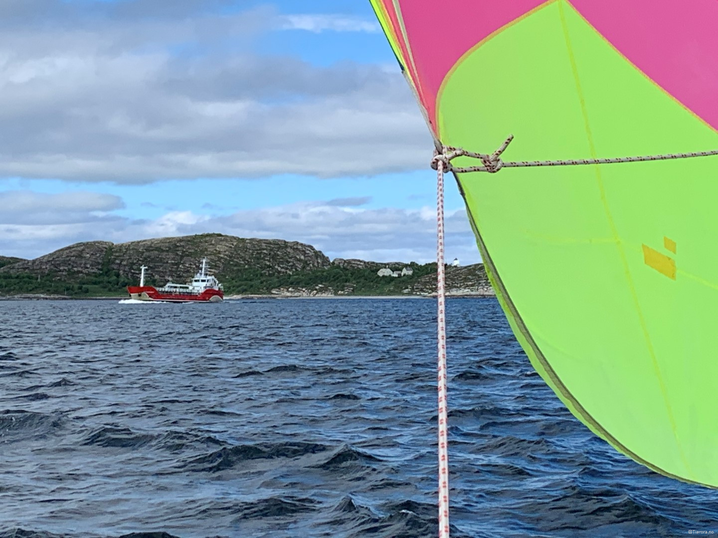 IMG_2036
