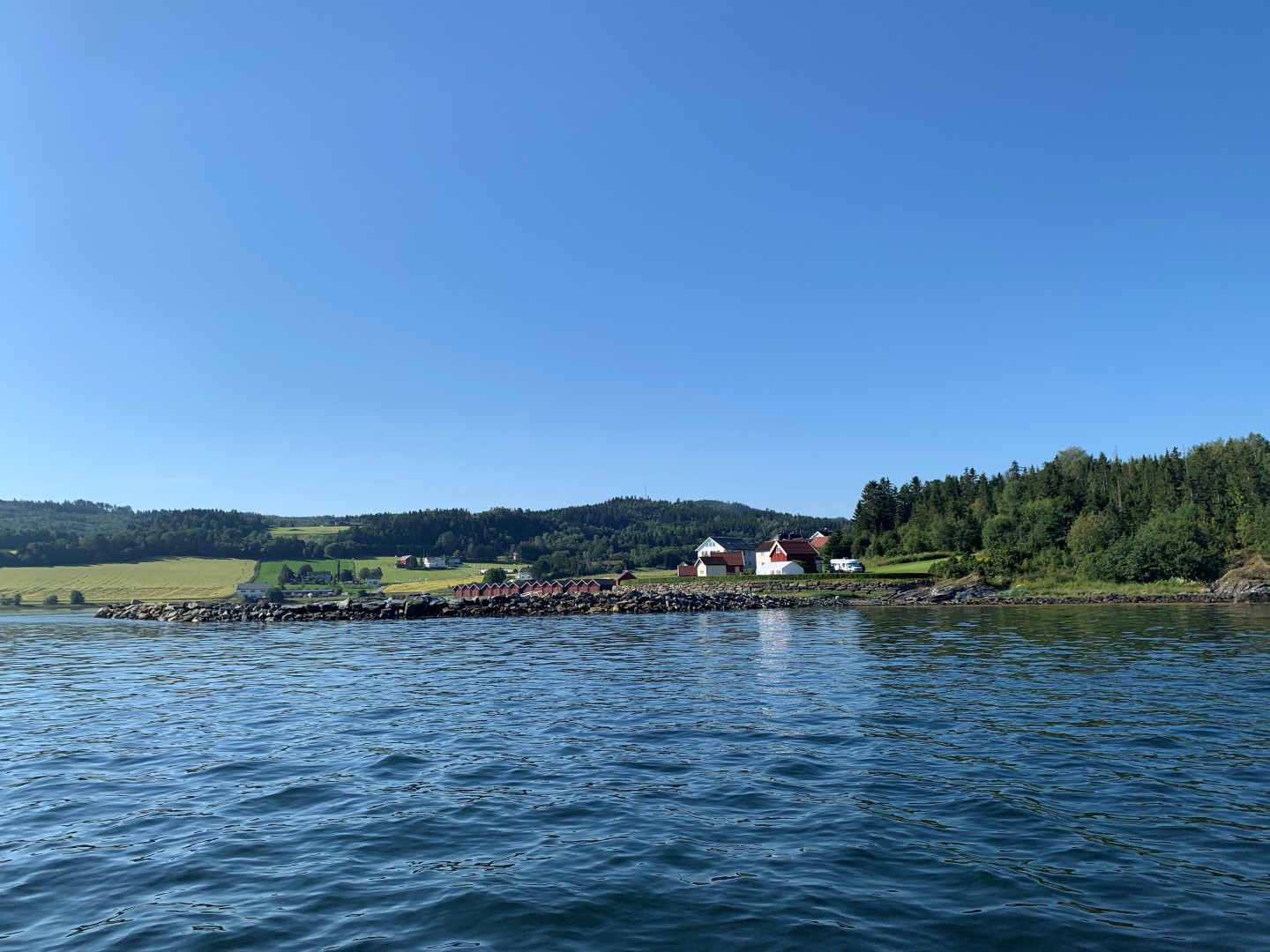 IMG_3368