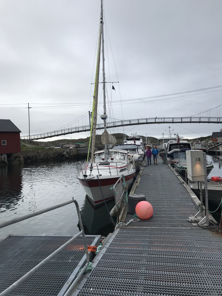 Bogøyvær