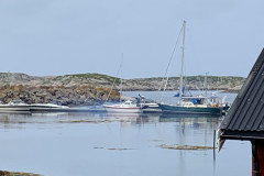 IMG_9214-Edited
