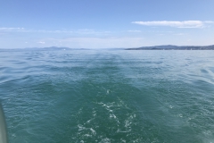 Blikkstille på fjorden